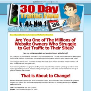 30 Day Traffic Flow