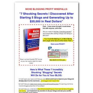 Niche Blogging Profits I Blog for Money (Faster)