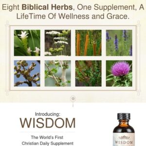 Transform Energy Levels & Revitalizes Your Health!
