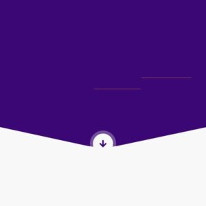 webscribepro.com